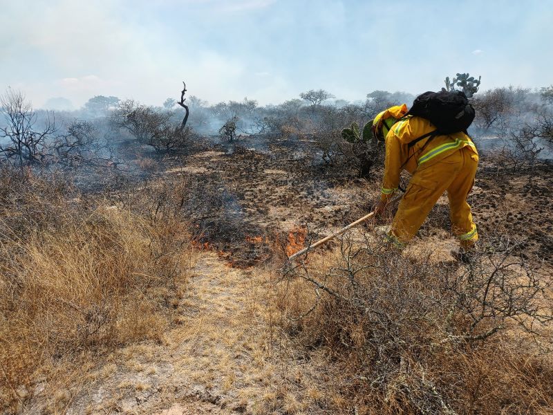 Incendio forestal