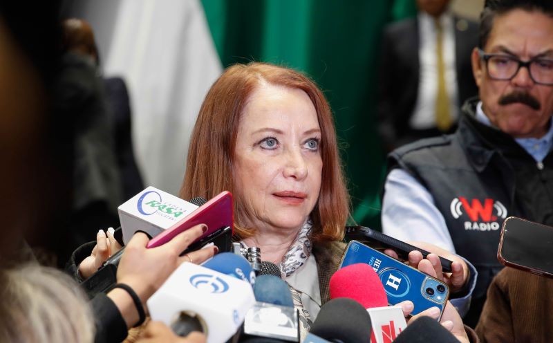 Laura Itzel Castillo Juárez, presidenta del Senado de la República.