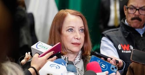 Senadora Laura Itzel Castillo Juárez