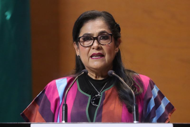 diputada Blanca Araceli Narro Panameño