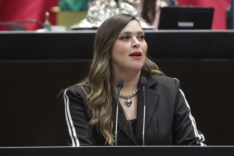 Diputada Ana Isabel González.