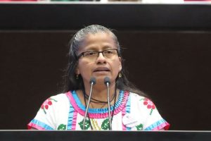 Diputada Irma Juan Carlos