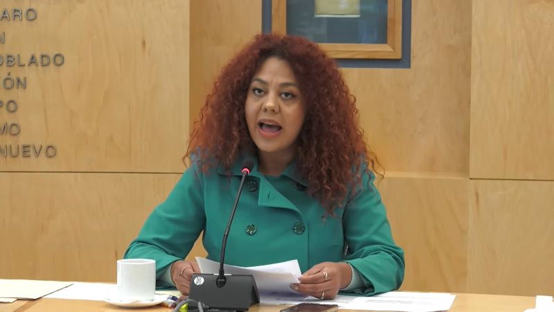 Diputada Miriam Reyes Carmona.