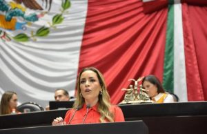 Diputada Verónica Martínez García