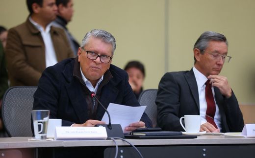 Diputado Ricardo Ferro Baeza.