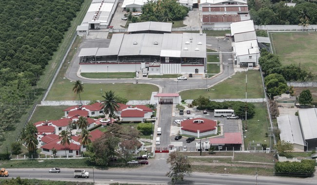 Planta productora de moscas