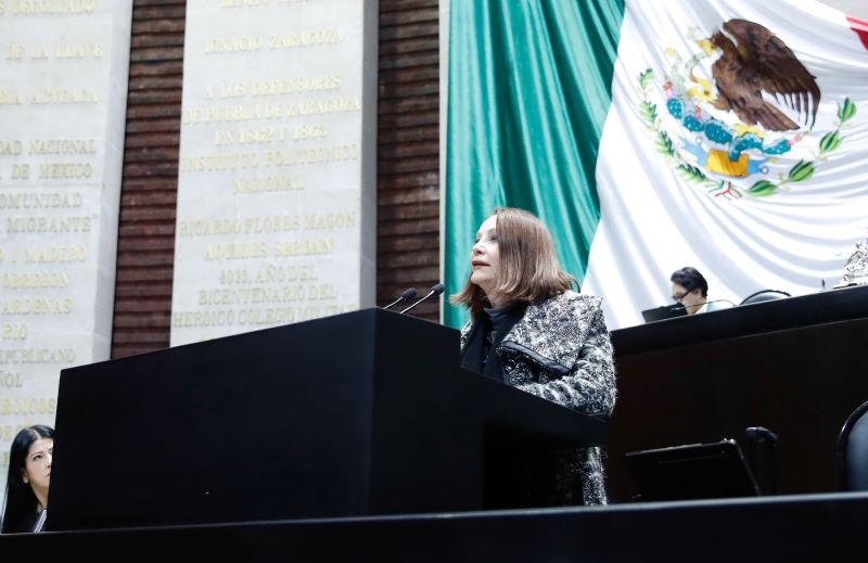 Senadora Laura Itzel Castillo Juárez