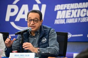 Diputado Miguel Ángel Salim Alle.