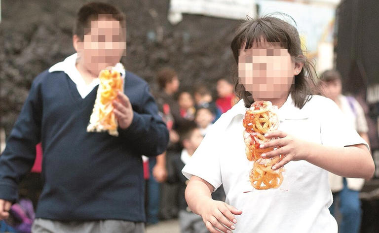Obesidad infantil