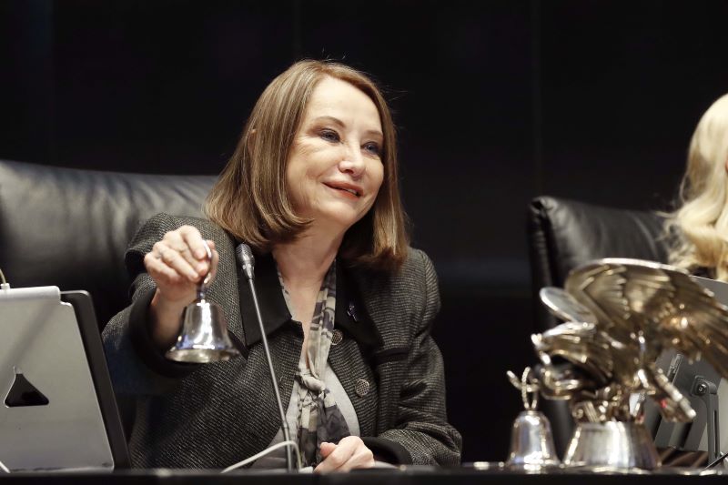 Senadora Laura Itzel Castillo Juárez