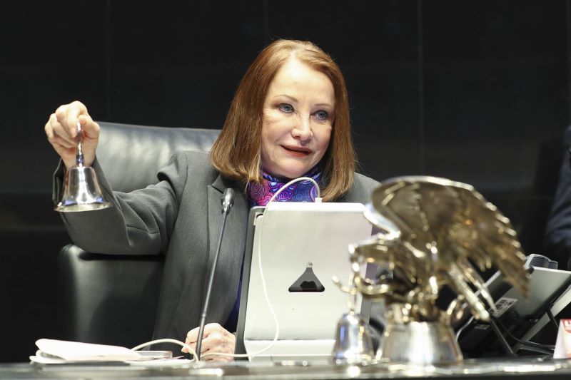 Senadora Laura Itzel Castillo