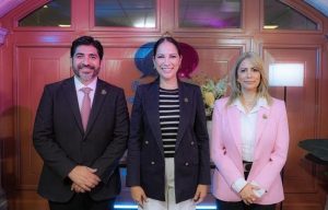 presentación de icrositio de transparencia