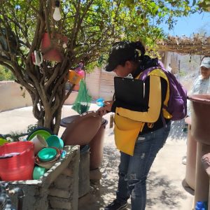 Acciones para prevenir el dengue.