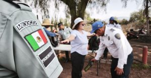 Arcos detectores en sitios arqueológicos.