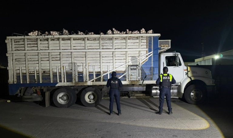 Camión cargado con 20 toneladas de cebolla fue recuperado en Irapuato.
