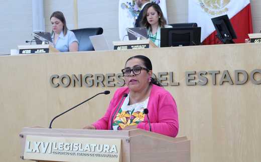 Diputada Yesenia Rojas Cervantes.