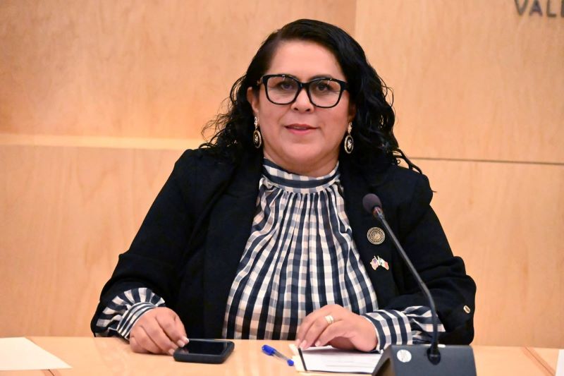 Diputada Yesenia Rojas Cervantes