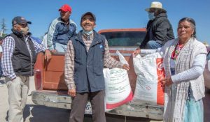Entrega gratuita de fertilizantes.