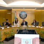 Terna para consejerías del INE: Blanca Yassahara Cruz García, Frida Denisse Gómez Puga y Arturo Manuel Chávez López