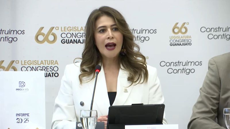 Karla Gabriela Alcaraz Olvera, procuradora de los derechos humanos de Guanajuato.
