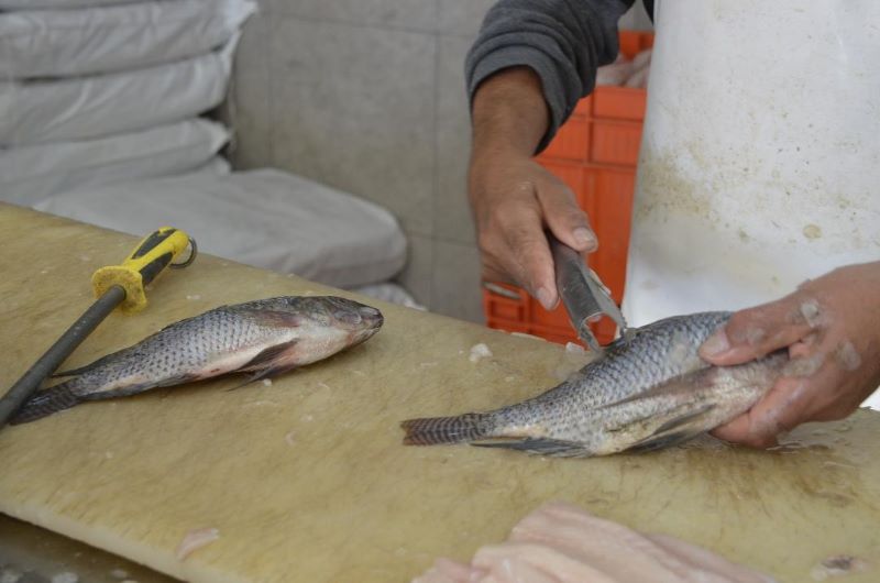 Verificación mariscos