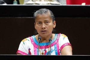 diputada Irma Juan Carlos