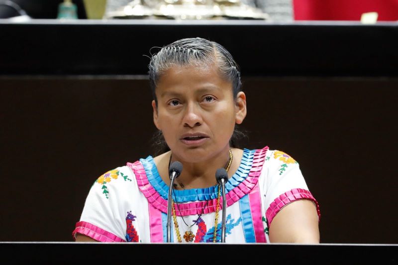 diputada Irma Juan Carlos