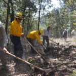 Personal de la Secretaría del Agua abre brechas corta fuego en la sierra de Santa Rosa para prevenir incendios forestales