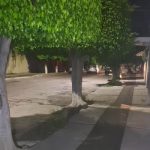 Hombre armado fue abatido a balazos por un guardia en la colonia Arbide de León 