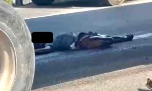Atropellado y muerto