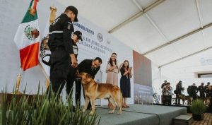 Canino jubilado