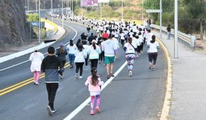 Carrera IEEG.