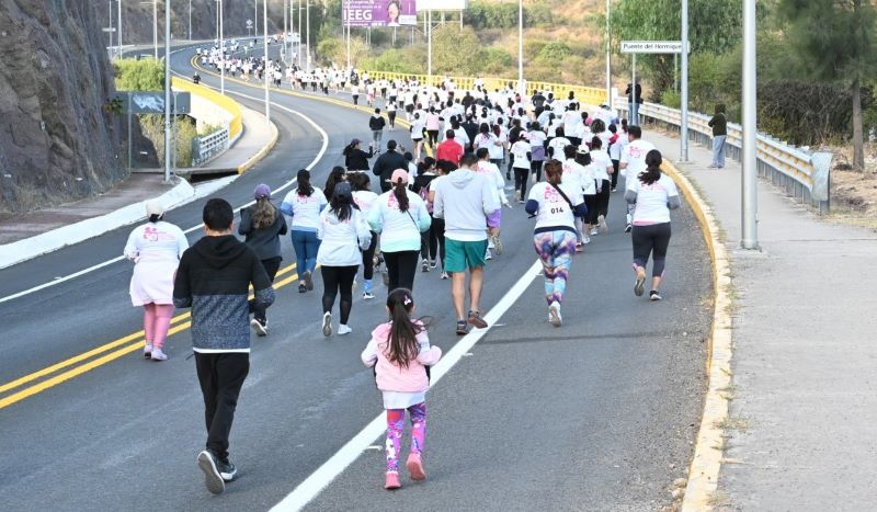 Carrera IEEG.