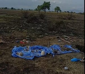 Fosa clandestina en Irapuato