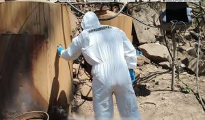 Narcolaboratorio en Sinaloa.