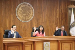 Pleno del TEEG
