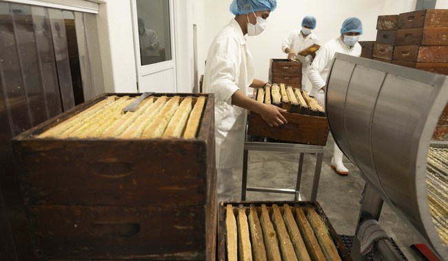 Producción de miel en México.