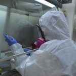 Vigilancia epidemiológica permanente y preventiva en Guanajuato por brote internacional de ébola