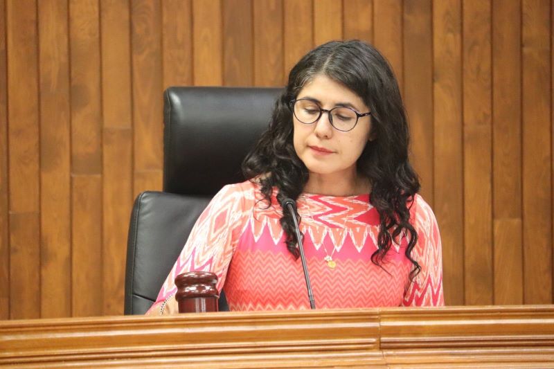 Yari Zapata López, magistrada presidenta del TEEG 1.