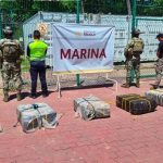 En el puerto de Colima aseguraron 270 kilos de cocaína