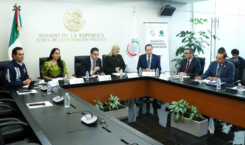 Comisión Bicameral de seguridad nacional del Congreso de la Unión