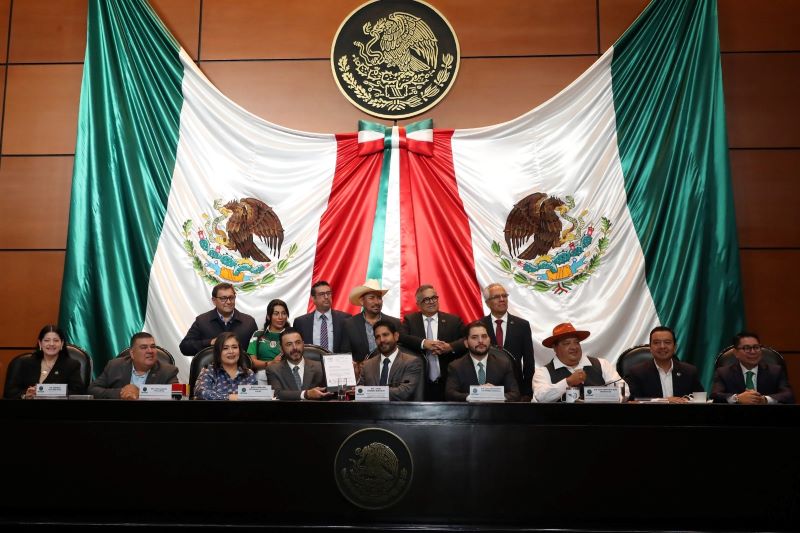 Comisión de vigilancia