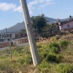 Asesinados “El Choky” y Valeria en la comunidad “El Tigre”, de Yuriria; además incendiaron su casa