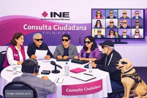 Consulta INE