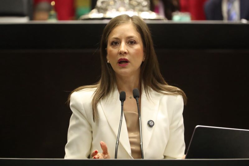 Diputada Anayeli Muñoz Moreno.