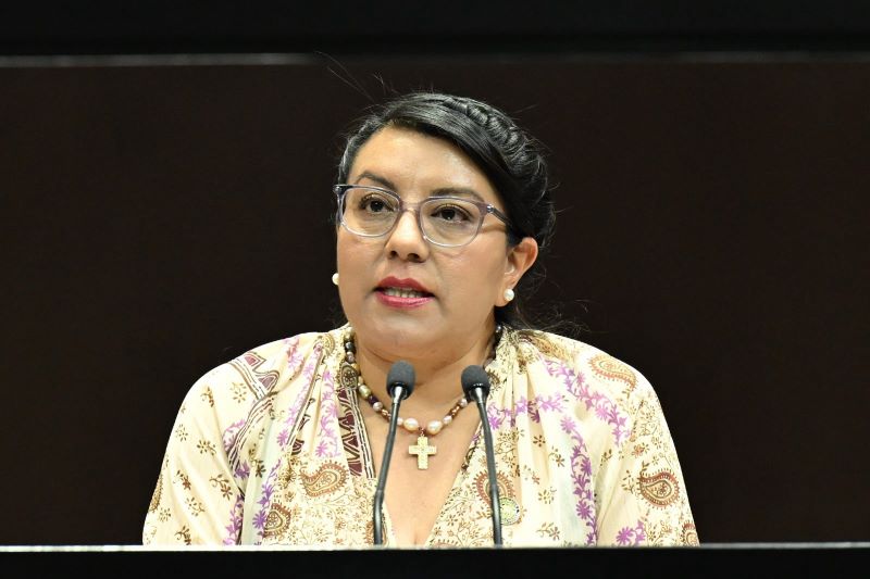 Diputada Martha Aracely Cruz Jiménez.