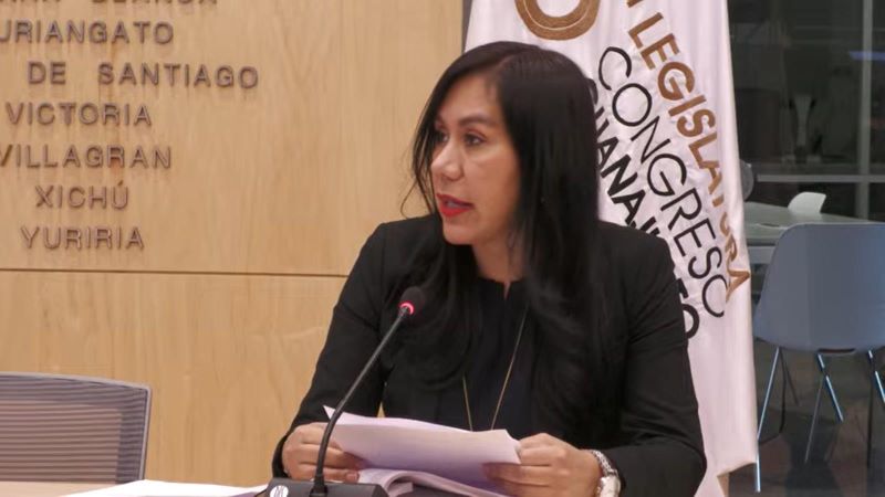 Diputada Susana Bermúdez Cano