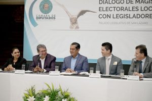 Diputados federales y magistraturas locales.