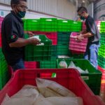 Leche para el Bienestar ya llega a 7.5 millones de personas beneficiarias