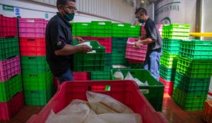 Leche para el Bienestar mantiene un avance de 75 por ciento en la meta de llegar a 10 millones de beneficiarios para el 2030
